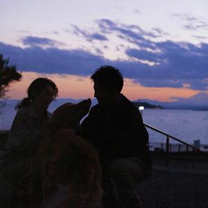 日本调教鞭打屁股
