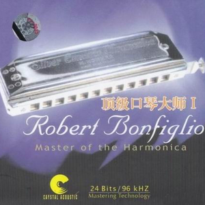 日本调教鞭打屁股
